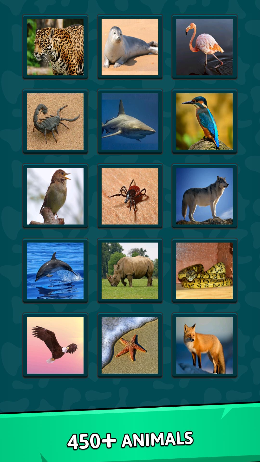 Animal Quiz APK for Android Download Animal Quiz APK for Android Download