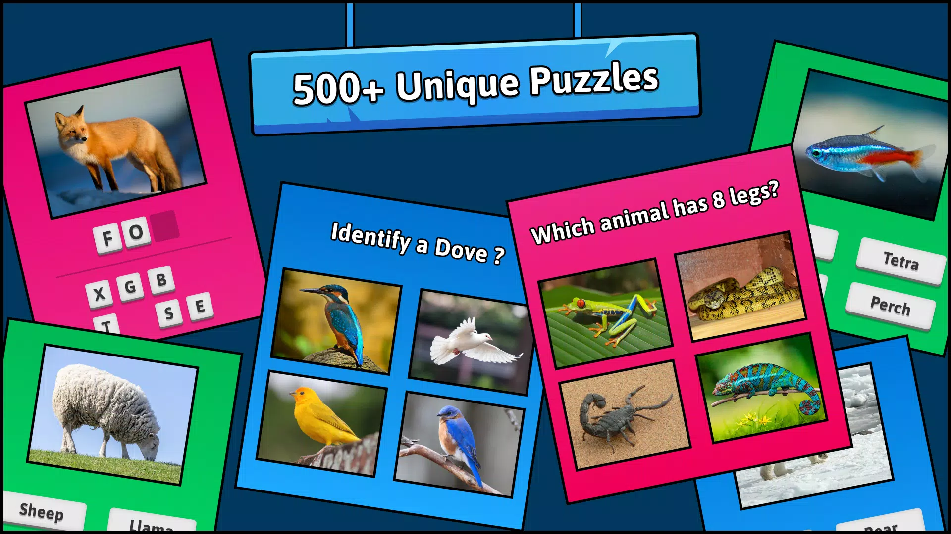 Genius Quiz Animals - Apps on Google Play