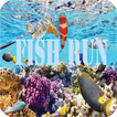 fish koi run 2019 icon