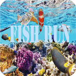 fish koi run 2019