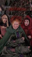 Hocus Pocus Wallpaper ảnh chụp màn hình 1