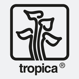 ikon Tropica