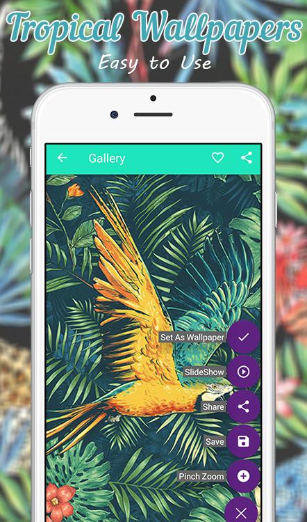 Tropical Wallpaper For Android Apk Download