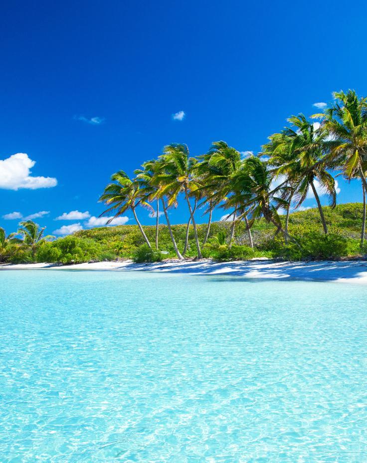 Tropical Beach Wallpaper For Android Apk Download