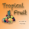 Tropical Fruit in Floridas APK