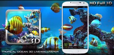 Tropical Ocean 3D LWP