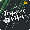 Tropische sfeer wallpapers 4K-APK