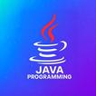 Java Programming - Learn Java icon