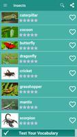 English Vocabulary - PicVocPro screenshot 2