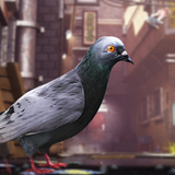 Crappy Bird: Pigeon Simulator
