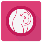 Embarazo Semana a Semana ícone