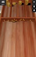 Shuffleboard holandês Cartaz
