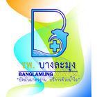 Banglamung Hospital Teleclinic icône