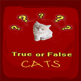 True False Trivia Cats quiz icono