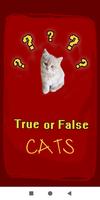 True False Trivia Cats quiz Poster