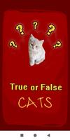 True False Trivia Cats quiz Affiche