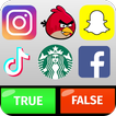Logo Game : True False Puzzle