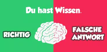 Wahr oder Falsch: Quizfragen