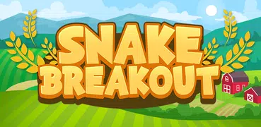 Snake Breakout: Recoge bloques