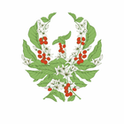 Palace Coffee icon