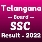 TS Board Result 2022 icône