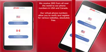 SMS Receive Phone Numbers