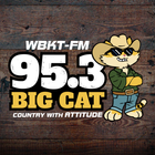 95.3 Big Cat 아이콘
