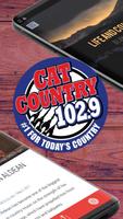 Cat Country اسکرین شاٹ 1
