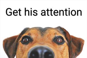 Dog Trainer: Clicker & Whistle imagem de tela 1