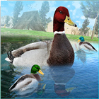 Ultimate Duck Family Simulator آئیکن