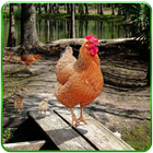 Hen Family Simulator آئیکن