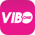 VIBO ONE