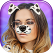 Cute Doggy Face Live Stickers