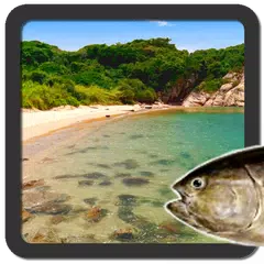 Your sea (real time sea sim)