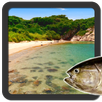 Your sea (real time sea sim) APK