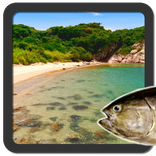 ”Your sea (real time sea sim)