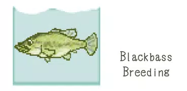 Blackbass Breeding (Aquarium)