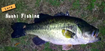 Lure Nushi Fishing