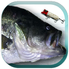 Lure Nushi Fishing icon