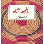 Bulleh Shah Kehnde Nain Zeichen