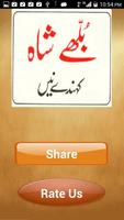 Bulleh Shah Kehnde Nain الملصق