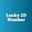 Lucky 2D Number