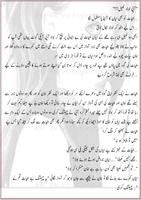 Maidan e Hashar Urdu Novel скриншот 3