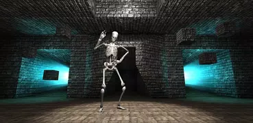Dungeon Skull Shooter