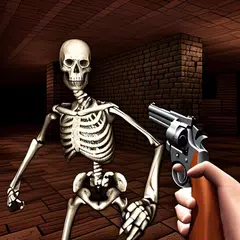 Dungeon Skull Shooter XAPK download