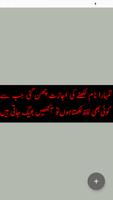 Urdu Poetry Offline imagem de tela 3