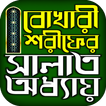 বুখারী শরীফ সালাত অধ্যায়