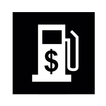 Fuel Expenses
