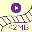APK Easy Video Converter