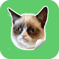 😹 Cats Stickers for Whatsapp - WAStickerApps 😼